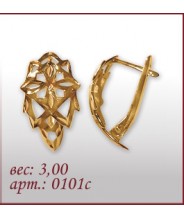 Серьги 0101с
