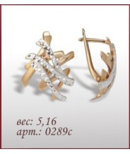 Серьги 0289с